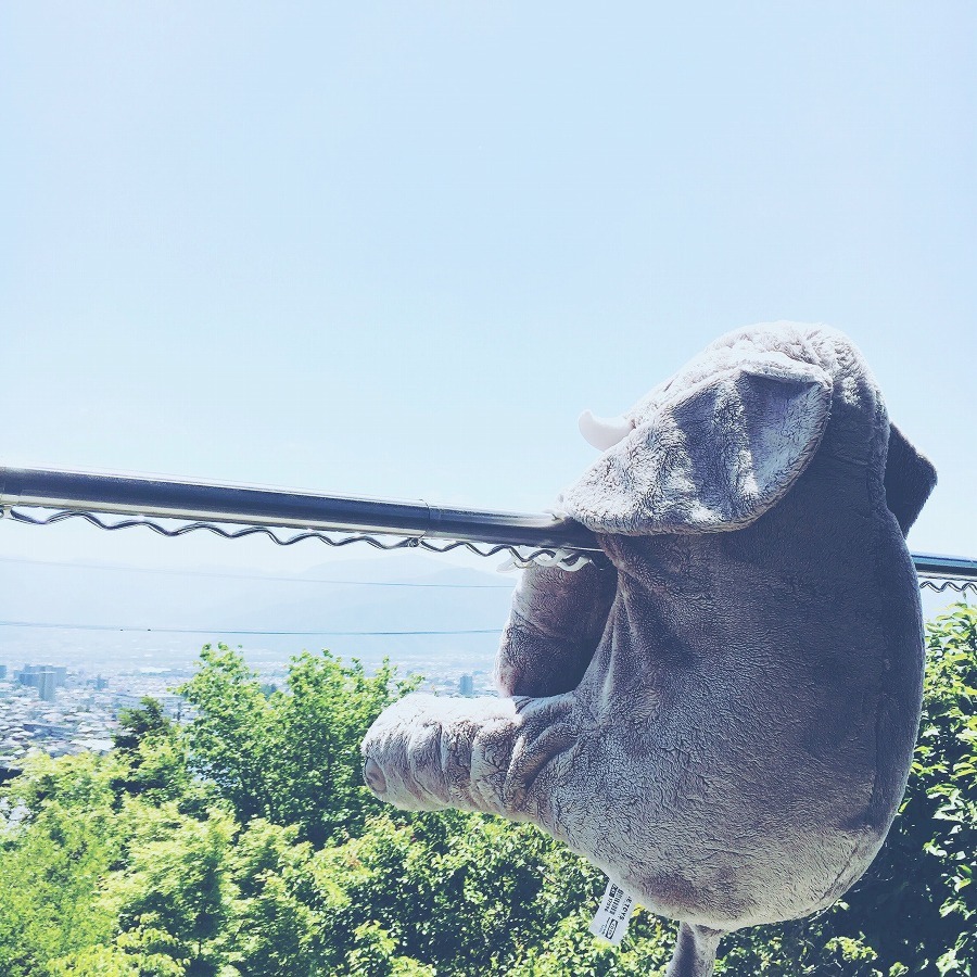 景色を堪能しながら日光浴。