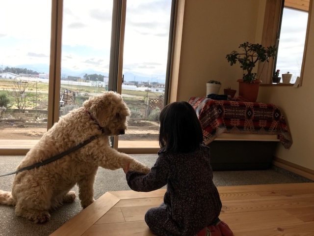 土間サロンとリビングの段差も小さくした。いつでも愛犬といっしょ。
