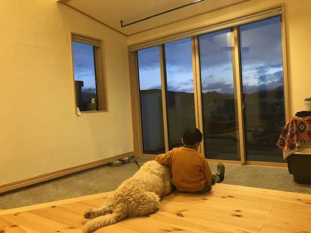 たまには愛犬も無垢床でゴロン。