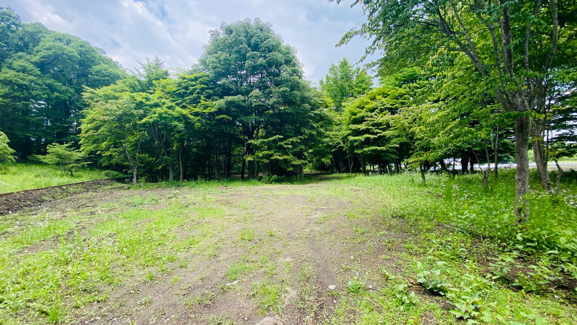 前面道路から敷地への進入も含めて、とても平坦な土地。